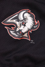 Load image into Gallery viewer, Black and Red 90s Buffalo Sabres Jersey By Professional Sports Club: Buffalo Mascot
